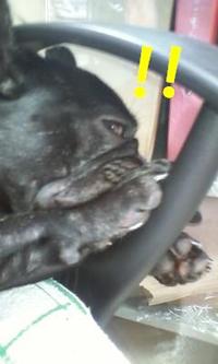 きたよ～ 2010/07/26 14:10:55