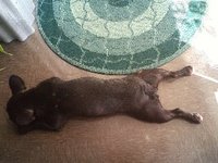 ふまんでよ 2010/08/29 10:32:27