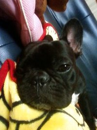 あのな 2010/10/15 09:08:53