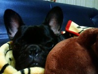 たいふう 2010/10/28 15:56:27