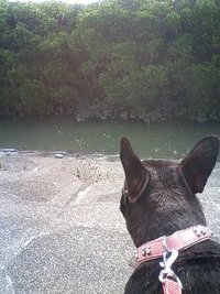 ひるさんぽ 2010/11/10 11:22:43
