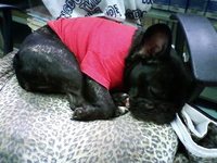 そろそろ 2010/11/15 16:03:52