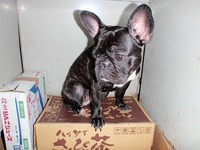ひみつきち 2010/07/22 22:12:53