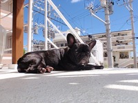 あついの 2010/09/16 12:45:53