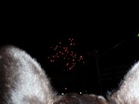 はなび 2010/10/12 08:51:59
