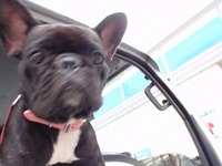 まってまぁ～す 2010/10/18 15:50:24