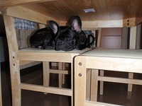 さむいのも・・・ 2010/11/06 09:53:47