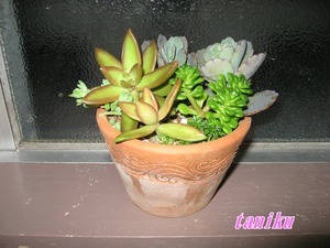 ☆こども祭り☆