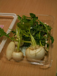 仕事始め 2007/01/10 02:44:12