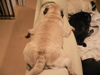 ５月の予約を受付いたします 2012/05/14 18:12:21