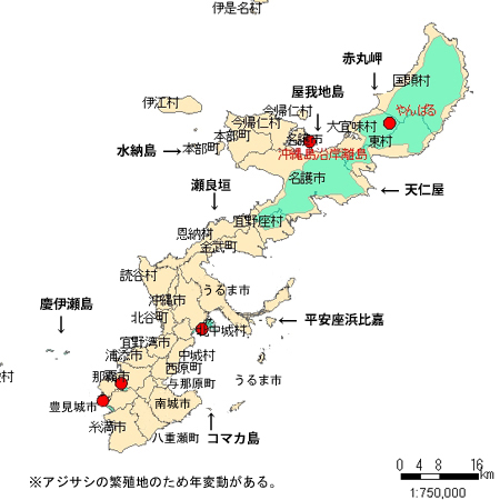 沖縄の島々 英会話サークル Happy Smile