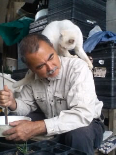 １週間は早い