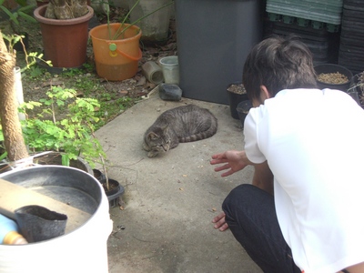 農場再生へ　! !