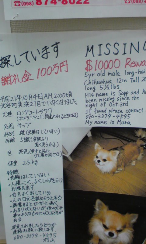 愛犬プライスレス