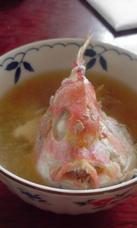 うおのめ。