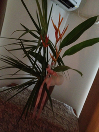 旧盆〜 2012/08/30 18:38:25