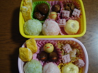 今月のお弁当♪ 2011/01/25 12:19:56