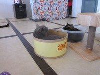 猫 2012/08/02 20:24:16