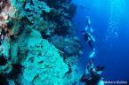 GOOD　DIVE 2009/06/28 02:40:50