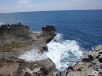 テンション低めです。 2010/06/20 00:48:36