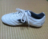 ディエゴ！ 2010/06/29 23:07:08