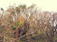 Halloweeeeen 2012/10/21 20:07:21