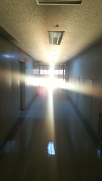 後光が差している・・・ 2012/11/09 12:34:01