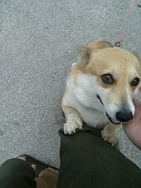ぶらり大分一人旅…