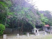 咲きはじめました 2010/01/11 10:08:01