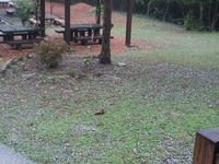 「○○○を探せ！」 2009/10/06 12:14:32