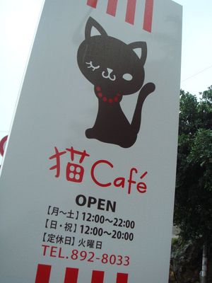 猫カフェに行ってきました！！