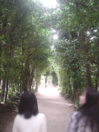 備瀬です 2010/03/15 16:16:21