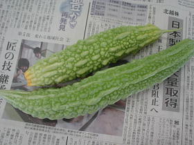 そろそろ…！