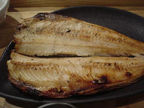 I Love Fish !!