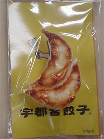宇都宮餃子の…！！