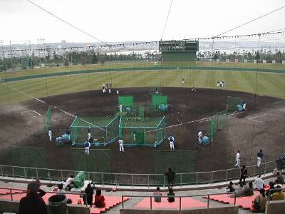 ２月は見て学ぼう