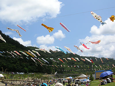 奥こいのぼり祭り♪