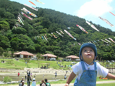 奥こいのぼり祭り♪