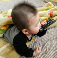 謹賀新年　2012 2012/01/04 15:21:35