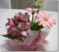 奉仕活動 2009/10/21 21:23:43