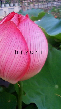 神代植物園