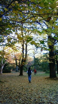 小石川植物園