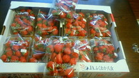 イチゴ１０パック 2010/04/18 17:03:41