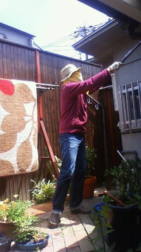 蜂の巣除去 2010/05/30 18:28:08