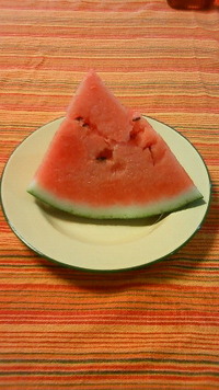 初物 2010/06/03 08:09:03