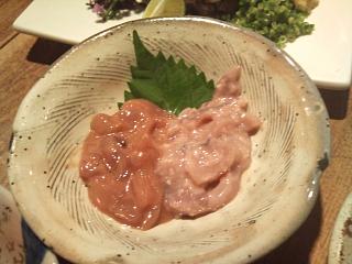 小田原・箱根大会　「初日」