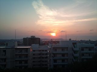 燃費情報