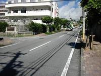 とったぞ～
