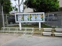学校美化作業