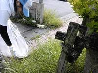恒例の火曜日